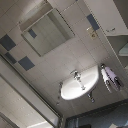 Millennium バードガシュタイン